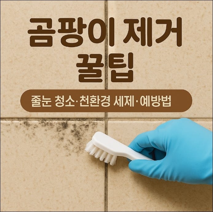 곰팡이 제거 꿀팁