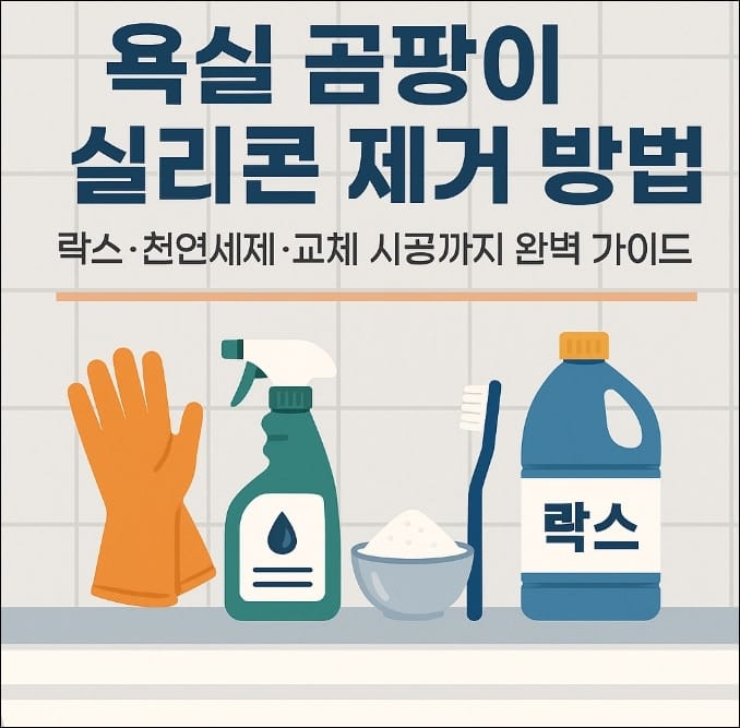 욕실 곰팡이 실리콘 제거 방법