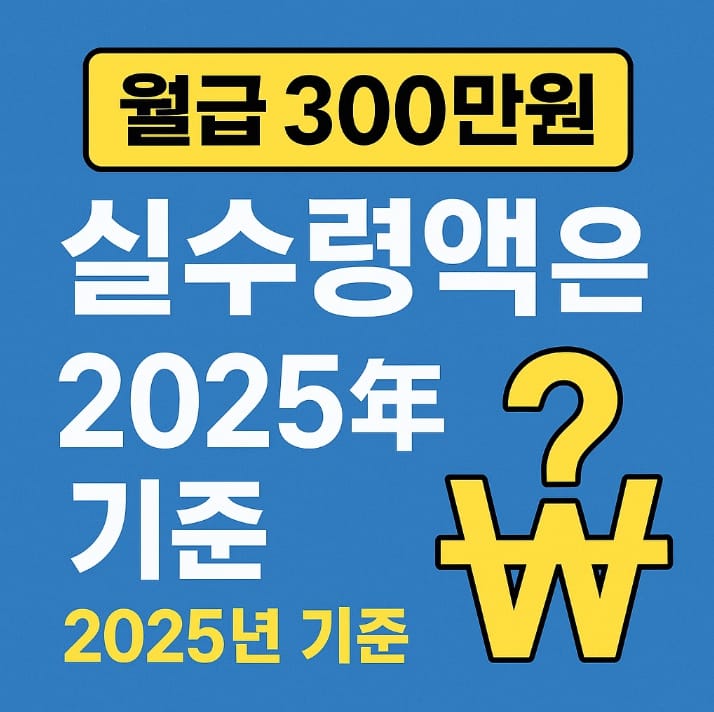 월급 300만원 실수령액