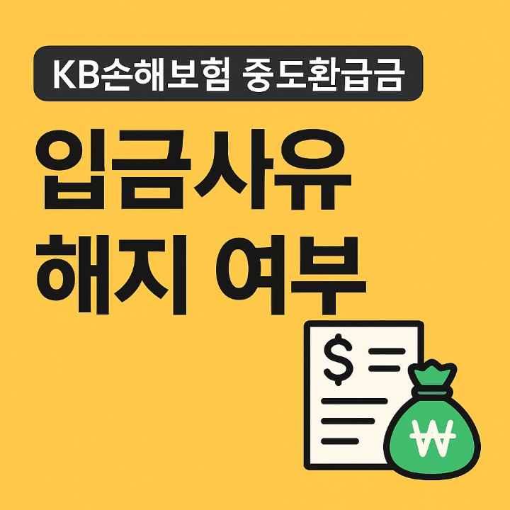 KB손해보험 중도환급금 입금사유 실비보험
