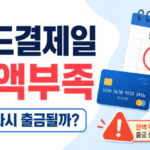 신용카드 결제일 잔액 부족하면 언제 다시 출금될까